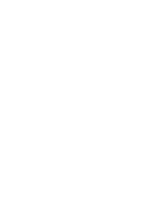 Phoenix Fitness bird logo